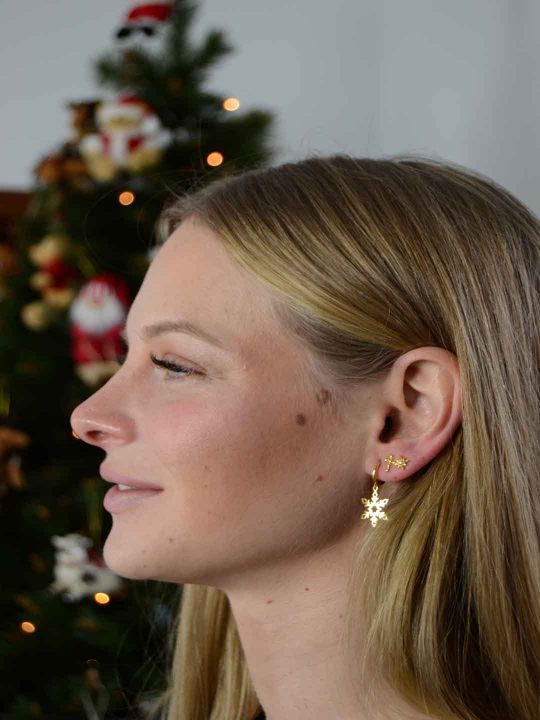 Pendientes-estrella-nieve-LS2123(2)-P