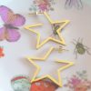 Pendientes-Aro-Estrella-LS2143(1)-P