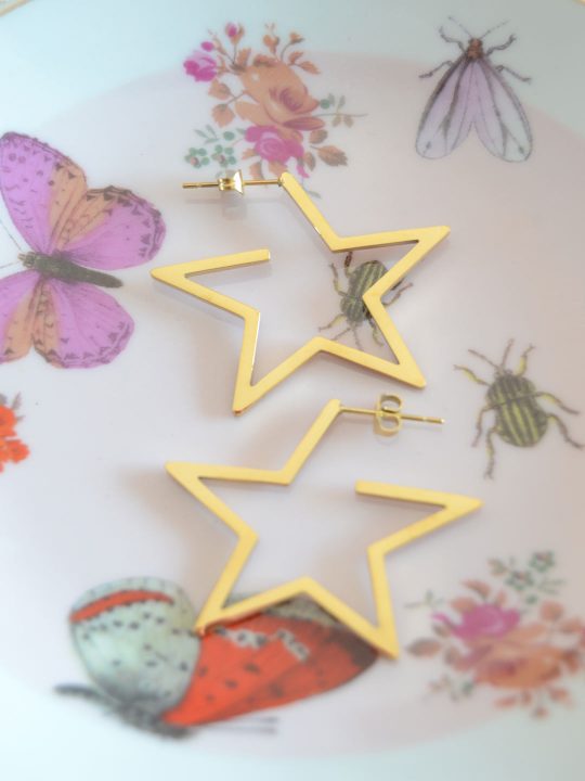 Pendientes-Aro-Estrella-LS2143(1)-P