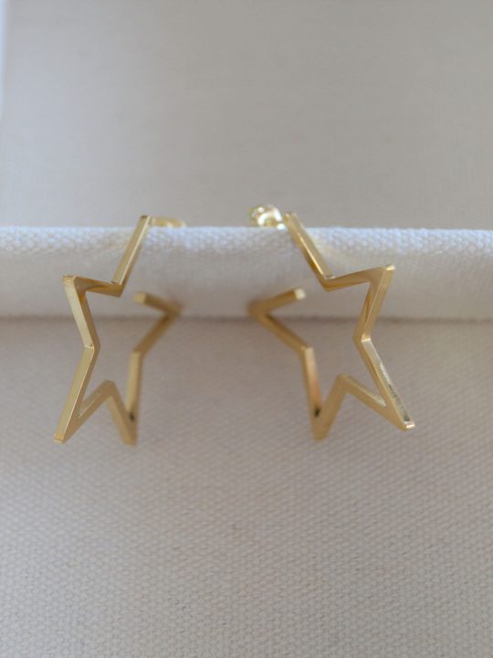 Pendientes-Aro-Estrella-LS2143(2)-P