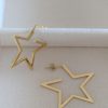 Pendientes-Aro-Estrella-LS2143(3)-P