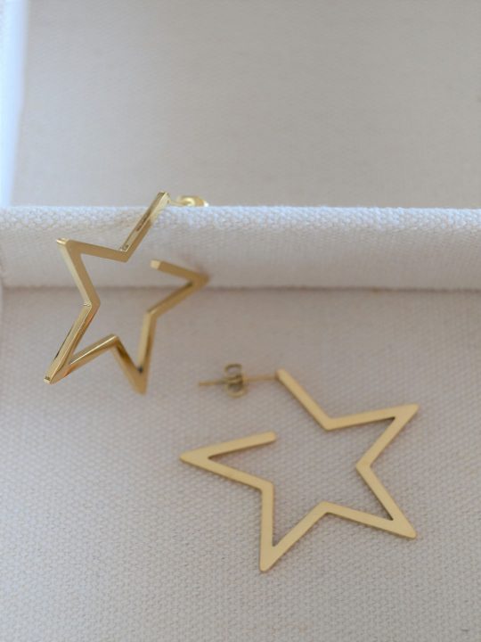 Pendientes-Aro-Estrella-LS2143(3)-P