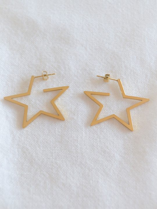 Pendientes-Aro-Estrella-LS2143(4)-P